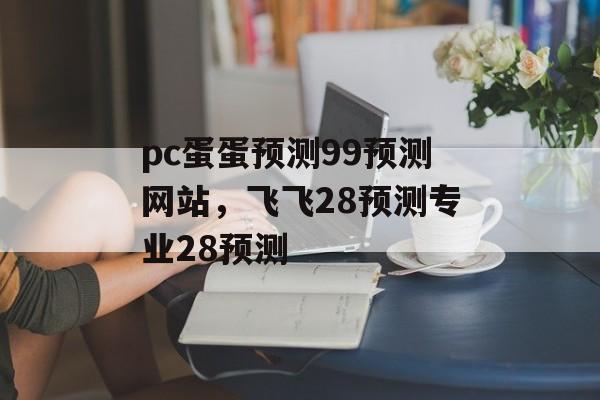 pc蛋蛋预测99预测网站，飞飞28预测专业28预测